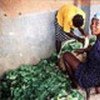 Women selling vegetables in Haiti