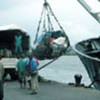 MV Overbeck unloads relief supplies at port Monrovia