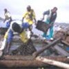 Harvesting shellfish for export in Namibia