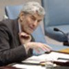 Ruud Lubbers briefs Security Council