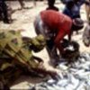 Gabonese fishers