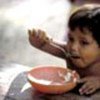 UN panel agrees on right-to-food guidelines