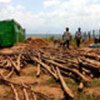Constructing latrines for Congolese returnees