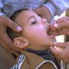 Child receiving polio vaccine