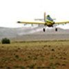 Air operations often are necessary in battle against locusts