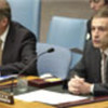 Arnaut addressing the Security Council