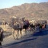 Refugees in Pakistan near border with Afghanistan