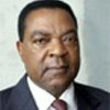 Council President Amb. Mahiga