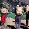 粮食署向尼泊尔供粮