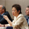 Judy Cheng-Hopkins addresses delegates