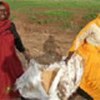 Women carry airdropped food, west Darfur