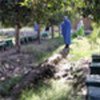 Keeping bees in Nangarhar