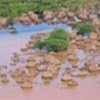 Flooded Somali village