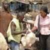 Shopper buys poultry at a Nigerian market