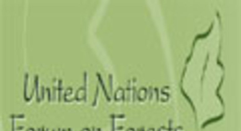 Un Adopts New International Agreement To Protect World S Forests Un News