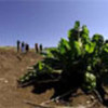 Small farmers in Lesotho receive WFP's help