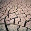 Severe drought affects crops