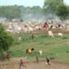 Dinka cattle camp in South Sudan