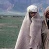 Young shepherds in northern Afghanistan