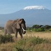 Le Mont Kilimandjaro au Kenya.