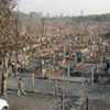 Bird's-eye view of the devastation caused by fire at Goldhap refugee camp