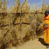 People of Darfur