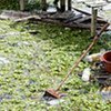 Un canal pollué en Equateur.