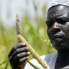 非洲对农业重视不足