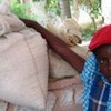 WFP scales up Haiti operation to reach 2.3 million beneficiaries