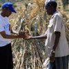 WFP expands food assistance to Ethiopia