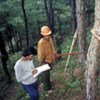 Government trainees and forest workers make a tree inventory, Philippines