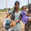 Displaced Sri Lankan families collect emergency shelter materials