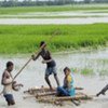 Des inondations en Inde et au Népal ont entraîné le débordement de la rivière Kosi. (septembre 2008)