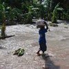 Jacmel in southeast Haiti was hit hard by Hurricane Gustav