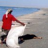 Des corps échoués sur la côte au Yémen. Un grand nombre de gens risquent leur vie pour traverser le golfe d'Aden.