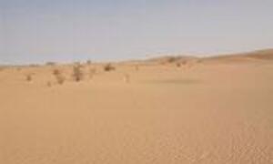 A vast desert landscape with rolling sand dunes under a clear sky.
