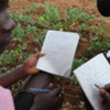 School children compare notes about their vegetable garden's ecology