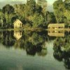 An ecological site in Amazon region