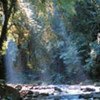 Mata Atlântica Biosphere Reserve, Brazil