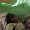 A mother and her newborn child lay under a mosquito bed net. Most malaria-carrying mosquitoes bite at night
