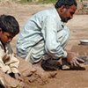 Des centaines de familles avec de jeunes enfants travaillent et vivent dans des briquetteries près d'Islamabad.