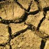 Un sol affecté par la sécheresse (photo d'archives)