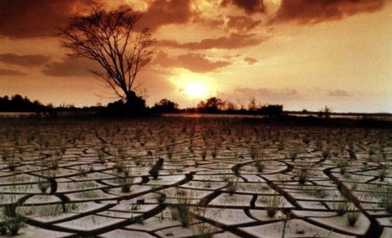 De acordo com a ONU, entre 1983 e 2013, 20% das terras do planeta foram degradadas.