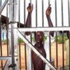 Conditions in DRC prisons are generally poor