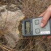 Measuring radiation-contaminated soil.