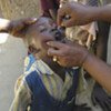 Un enfant est immunisé contre la polio.