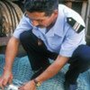 A port inspector checks the mesh gauge of a fishing net to make sure it is of legal size