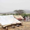 Déplacés dans la région d'al-Mazrak, au nord du Yémen.