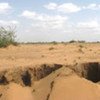 Grasslands in Somaliland have lost their vegetative cover after several seasons of drought