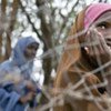 Une fillette réfugiée dans un des camps surpeuplés à Dadaab, au Kenya.